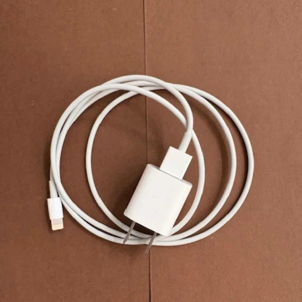 Apple - USB Power Adapter, LIghtning to USB Cable, and EarPods with Connector